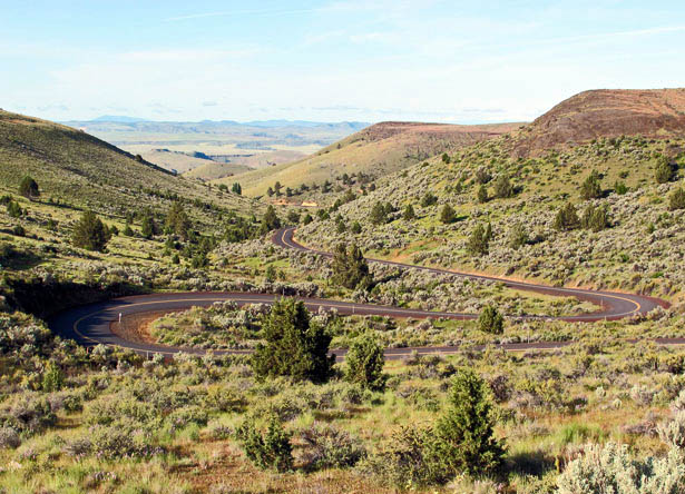 700C x 55 アンテロープヒル｜Rene Herse｜Alternative Bicycles