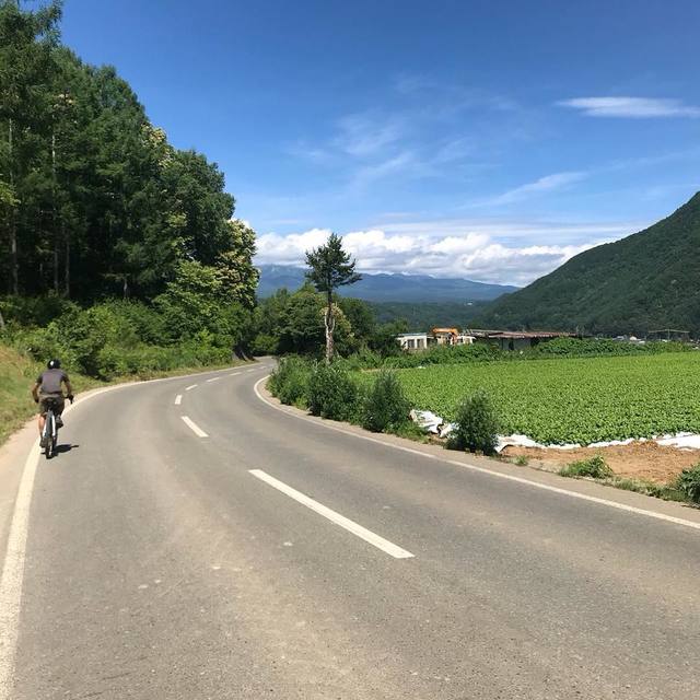 700C x 55 アンテロープヒル｜Rene Herse｜Alternative Bicycles