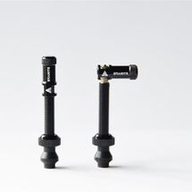 バルブキャップ（コアリムーバー付）